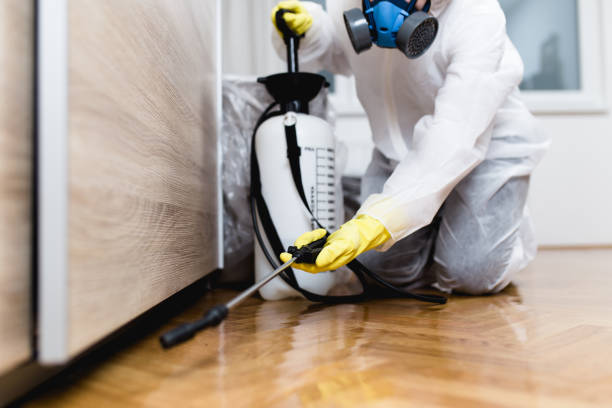 Best Best Pest Control Companies  in Thorntown, IN