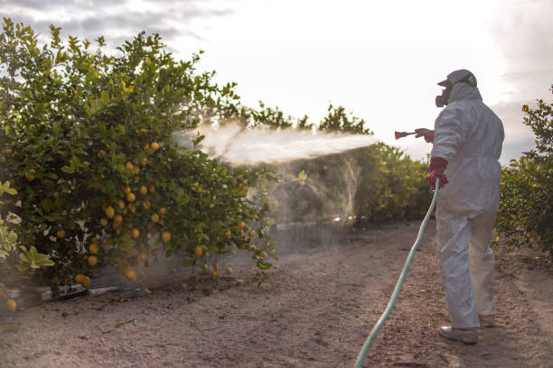 Best Insect Control  in Thorntown, IN